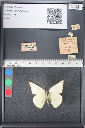 Media type: image;   Entomology 124260